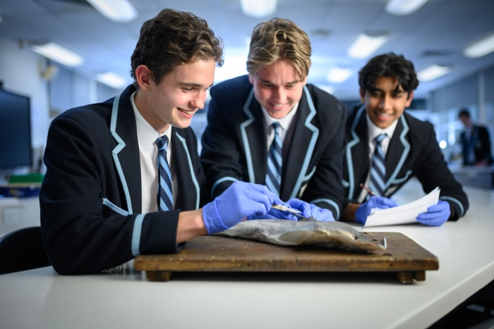 Academic - Environmental Earth Science