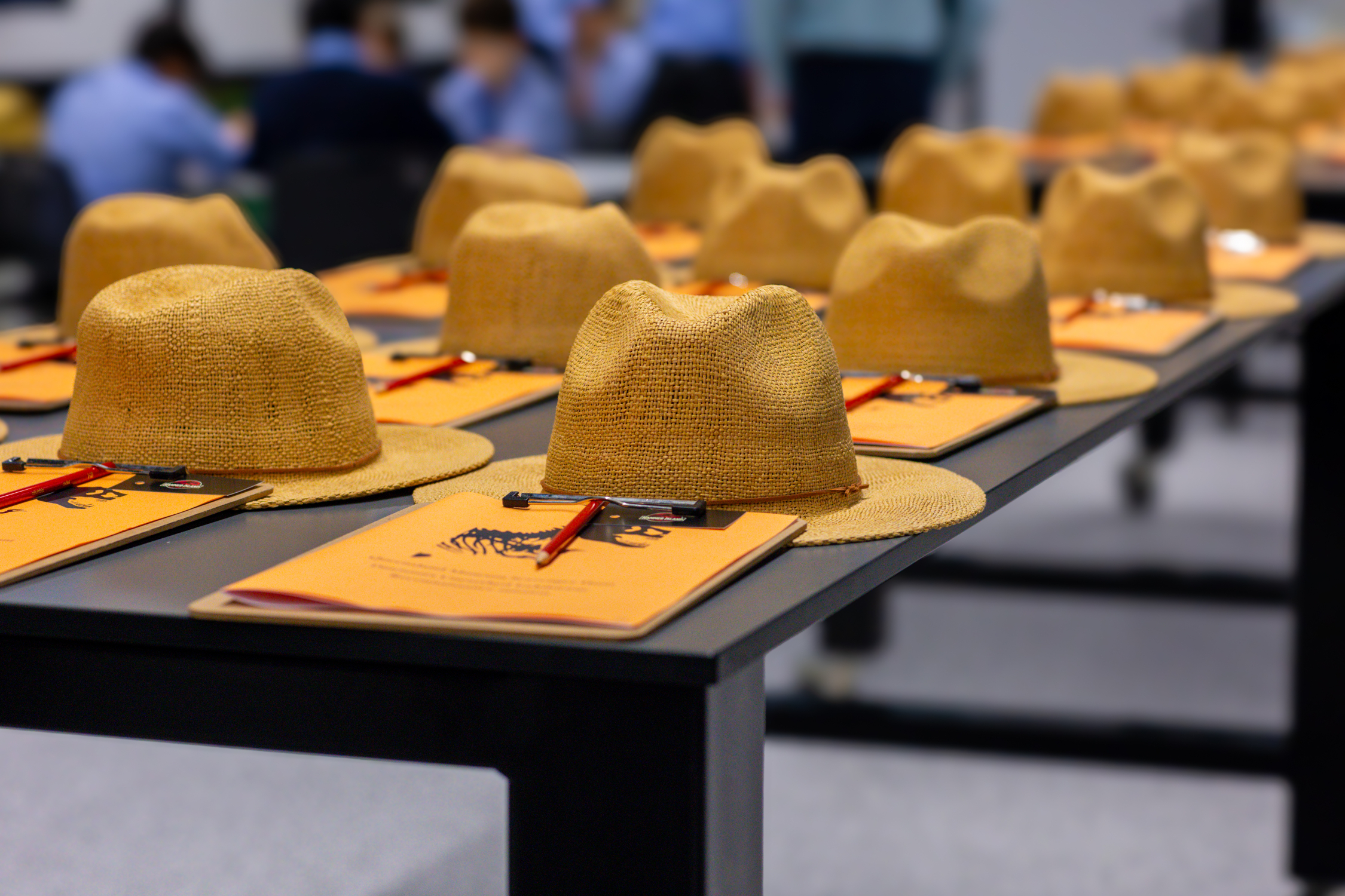 Year 7 Innovation Summit: Igniting Possibilities